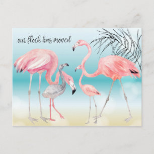 Pink Flamingo Family on Bokeh Beach New Address Announcement Postcard
