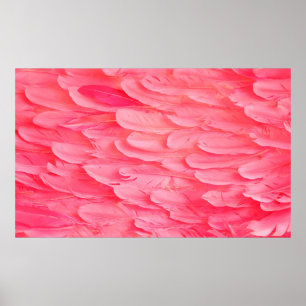 Pink Flamingo Feathersflamingo,feather,pink,textur Poster