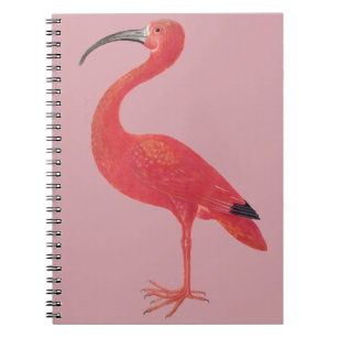 Pink Flamingo - Fine Art Notebook