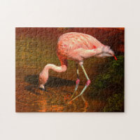 Pink Flamingo Florida.