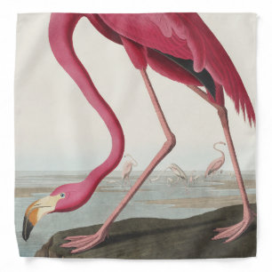 Pink Flamingo from Birds of America Bandana