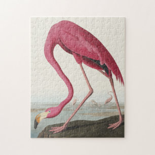 Pink Flamingo from Birds of America Jigsaw Puzzle