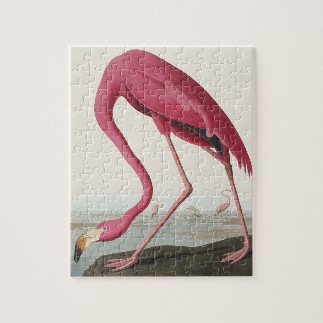 Pink Flamingo from Birds of America Jigsaw Puzzle (Vertical)