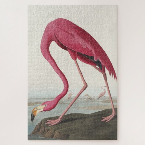 Pink Flamingo from Birds of America Jigsaw Puzzle