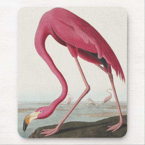 Pink Flamingo from Birds of America Mouse Pad