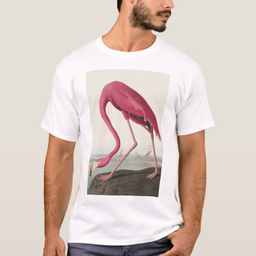 Pink Flamingo from Birds of America T_Shirt
