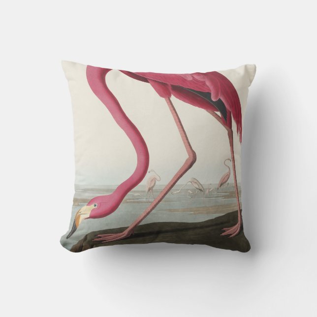 Pink Flamingo from Birds of America Throw Pillow (Front)