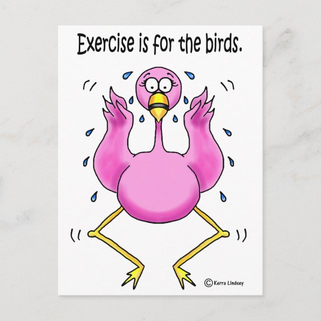 Pink Flamingo Funny Exercise is For the Birds Postcard (Front)