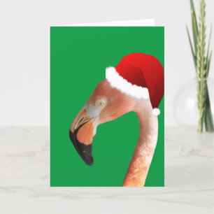 Pink Flamingo in red cartoon Santa hat Holiday Card