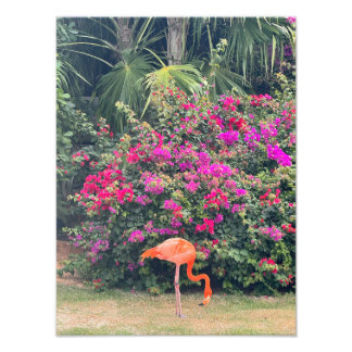 Pink Flamingo in the Tropical Foliage Photo Print