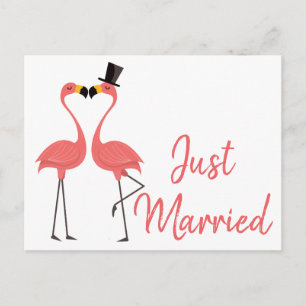 Pink Flamingo Just Married Tropical Wedding Love Announcement Postcard
