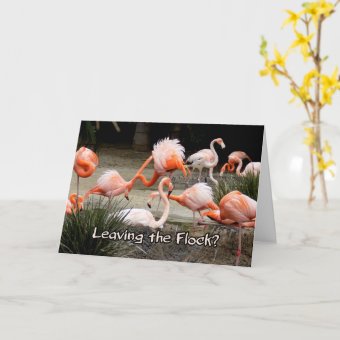 Pink Flamingo Leaving The Flock Farewell Card | Zazzle