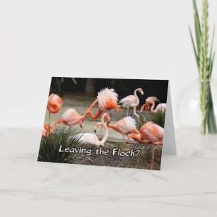 Pink Flamingo Leaving The Flock Farewell Card
