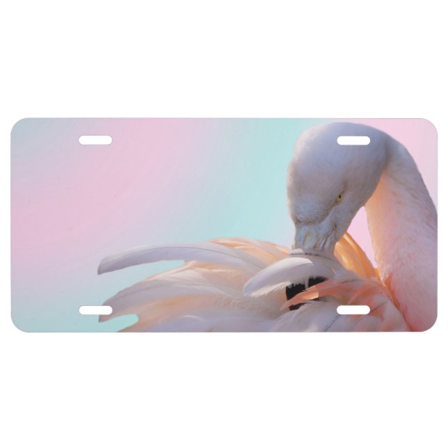 Pink Flamingo License Plate (Front)