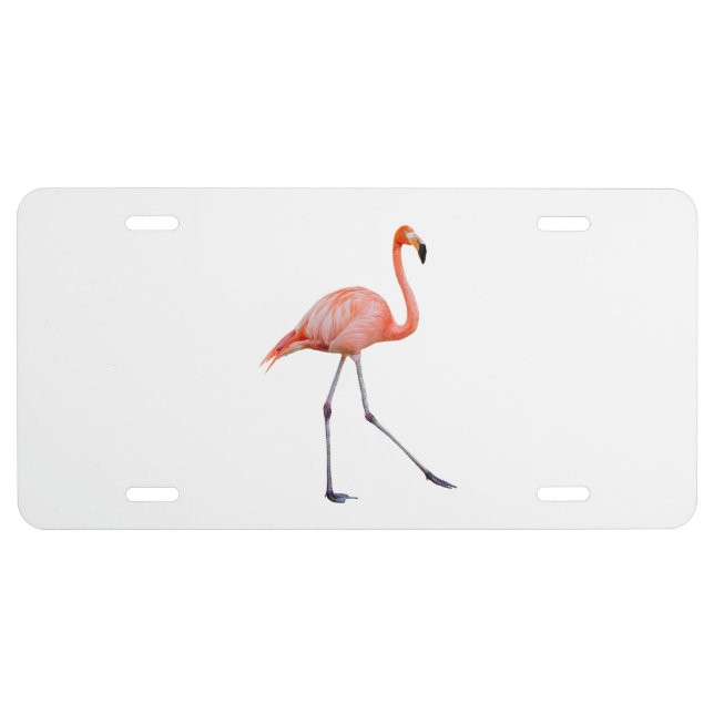 Pink Flamingo License Plate (Front)