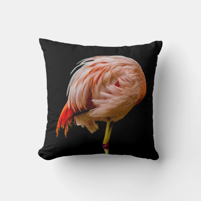 Pink Flamingo Lollipop Throw Pillow (Front)