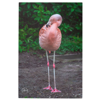 Pink Flamingo Metal Wall Art