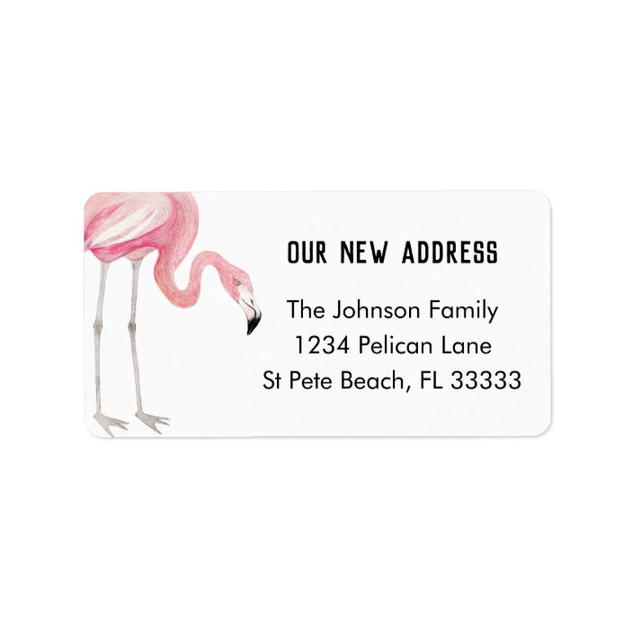 Flamingo Roblox Home Address