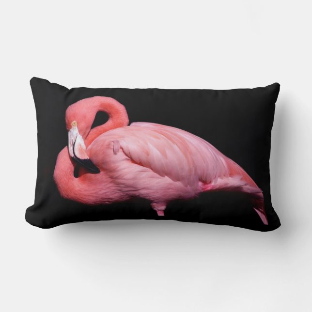 Pink Flamingo on Black Lumbar Pillow (Front)