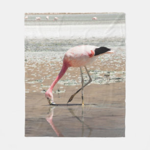 PINK FLAMINGO ON BODY OF WATER FLEECE BLANKET