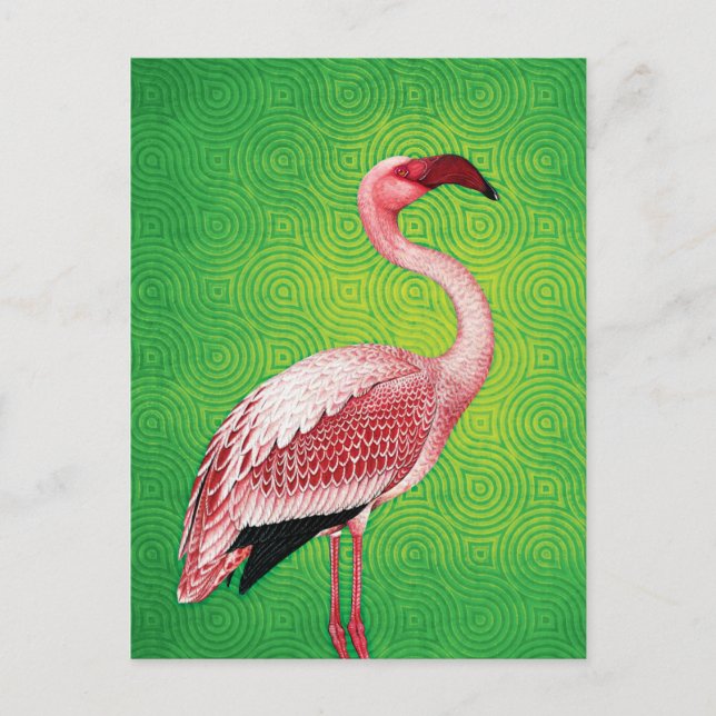 Pink Flamingo on Retro Green Pattern Postcard (Front)