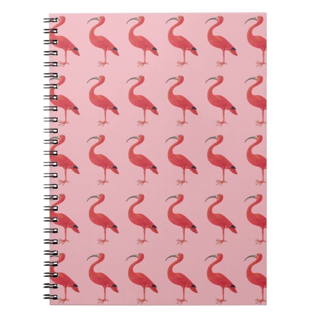 Pink Flamingo Pattern - Fine Art Notebook