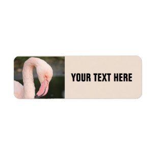 PINK FLAMINGO PERSONALIZED RETURN ADDRESS LABELS