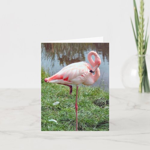 Pink Flamingo Photo Folded Note Card