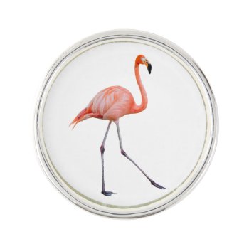 Pink Flamingo Pin by PixLifeBirds at Zazzle