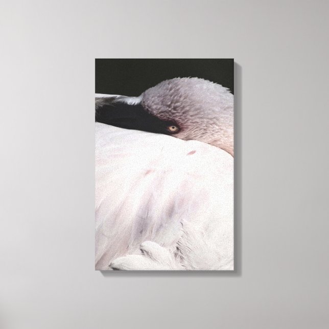 Pink Flamingo Portrait Drawing Effect Art Canvas Print (Front)