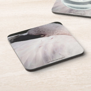 Pink Flamingo Portrait Drawing Effect Art Coaster
