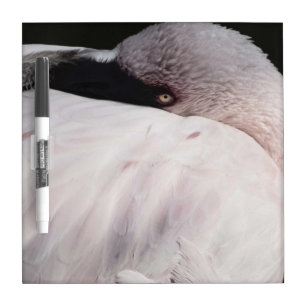 Pink Flamingo Portrait Drawing Effect Art Dry Erase Board