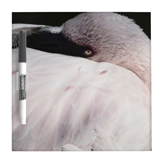 Pink Flamingo Portrait Drawing Effect Art Dry Erase Board (Front)