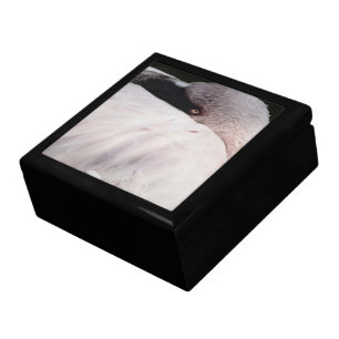 Pink Flamingo Portrait Drawing Effect Art Jewelry Box