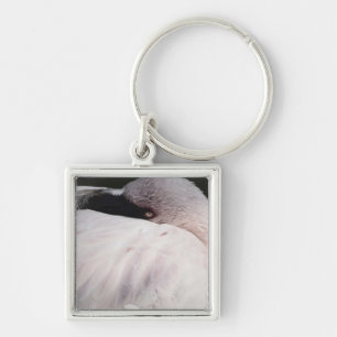 Pink Flamingo Portrait Drawing Effect Art Keychain