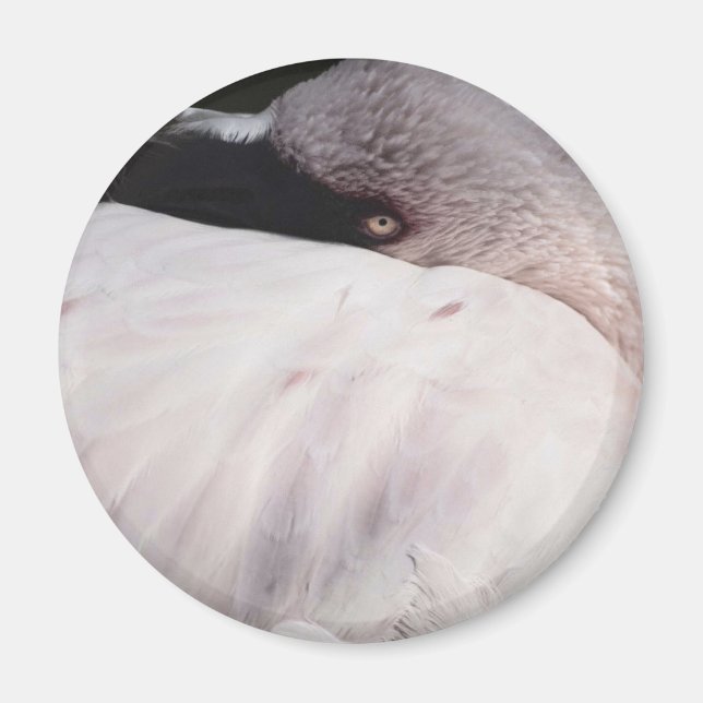 Pink Flamingo Portrait Drawing Effect Art Magnet (Front)