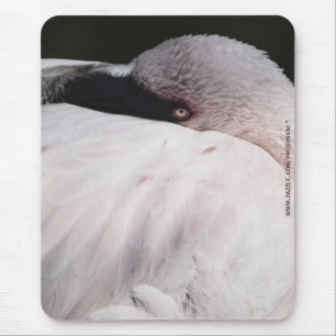 Pink Flamingo Portrait Drawing Effect Art Mouse Pad