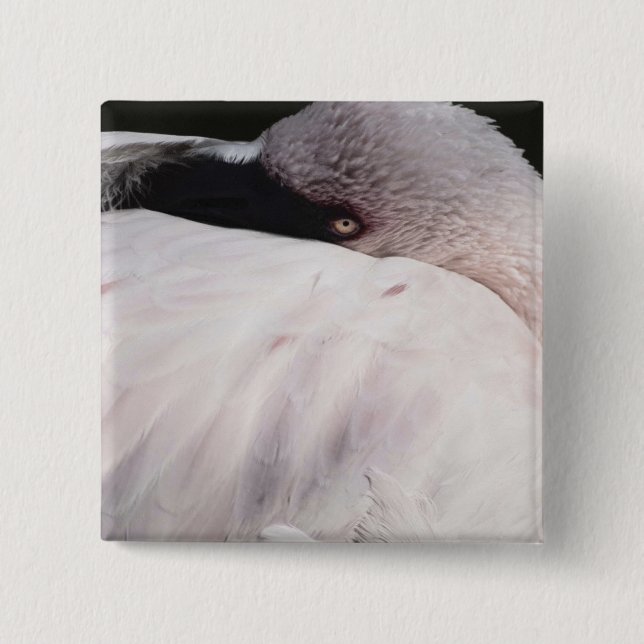 Pink Flamingo Portrait Drawing Effect Art Pinback Button (Front)