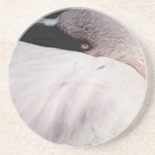 Pink Flamingo Portrait Drawing Effect Art Sandstone Coaster