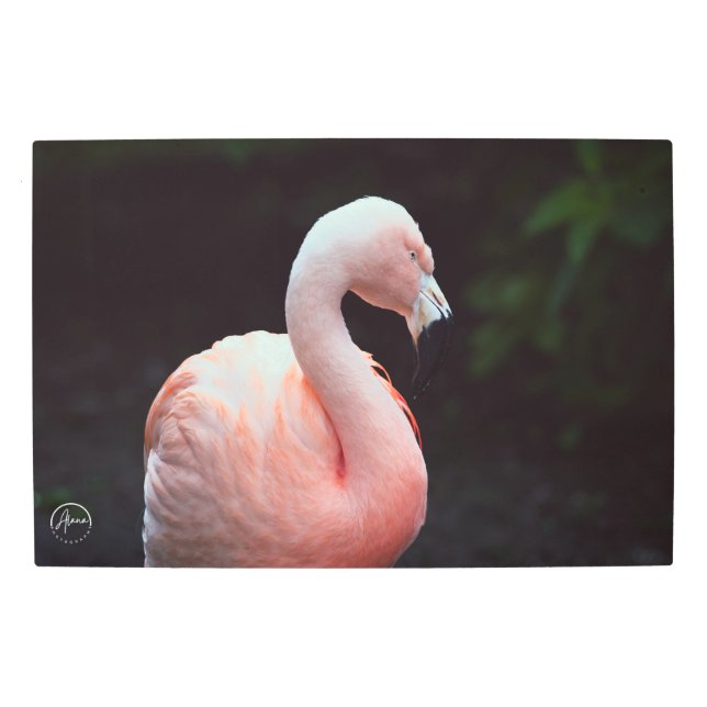 Pink Flamingo Portrait Metal Wall Art (Front)