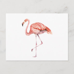 Pink Flamingo Postcard