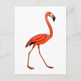 Pink Flamingo Postcard