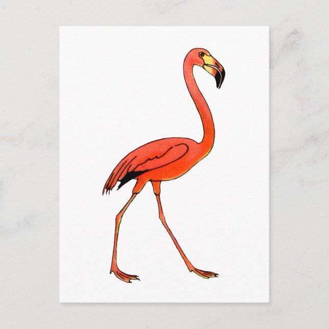 Pink Flamingo Postcard (Front)