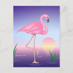 Pink Flamingo Postcard
