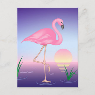Pink Flamingo Postcard