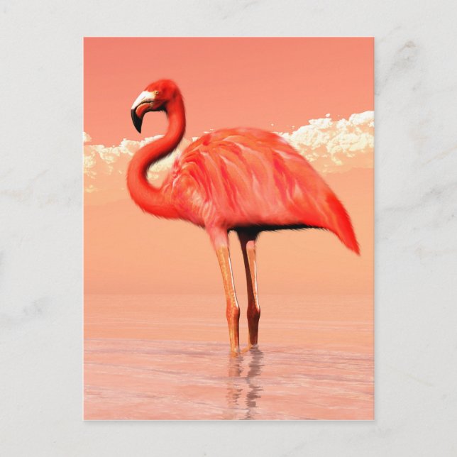 Pink flamingo postcard (Front)