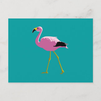 Pink Flamingo Postcard