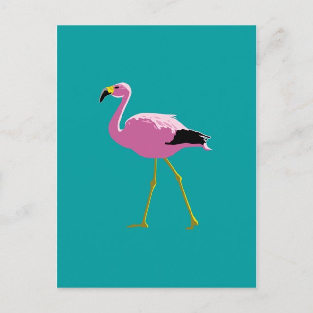 Pink Flamingo Postcard (Front)
