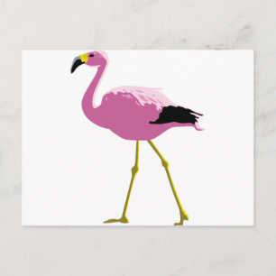 Pink Flamingo Postcard