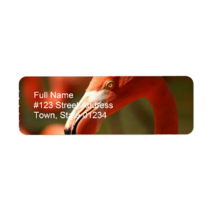 Pink Flamingo Return Address Label